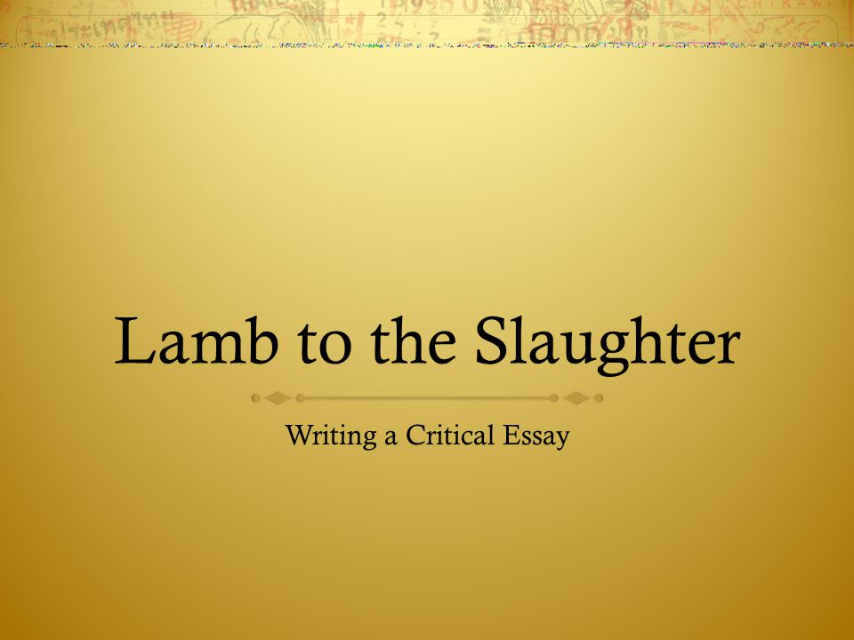 A reflective essay on writing